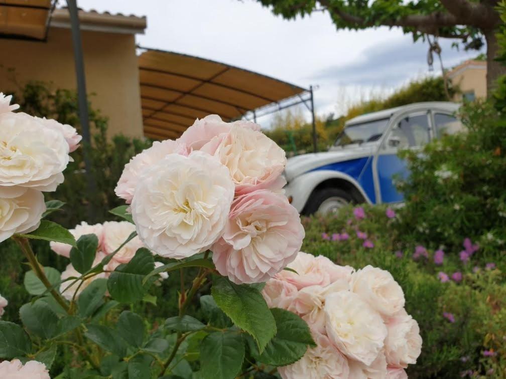 Gites Du Combeau Saint-Maurice-dʼIbie Esterno foto